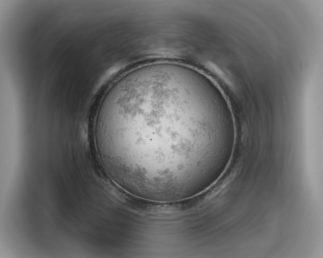 X0000115591307200911171022