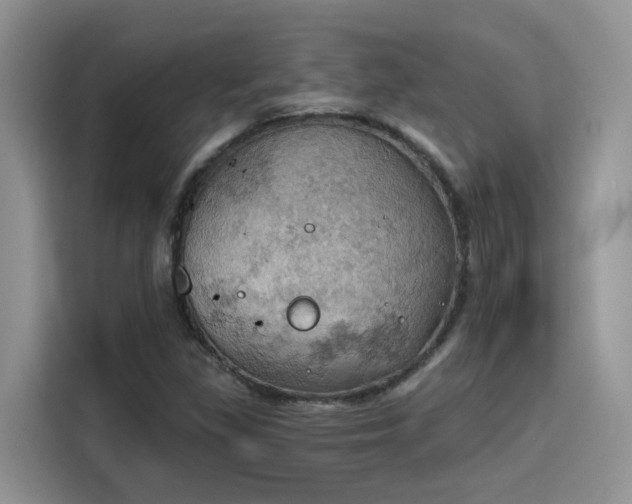 X0000115591309200911171022