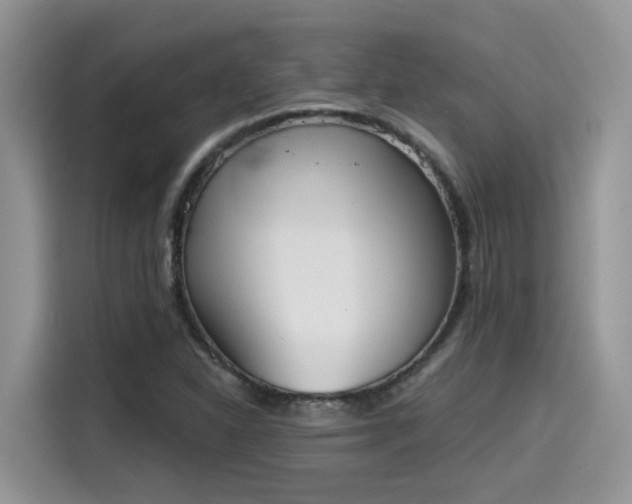 X0000115591310200911171022