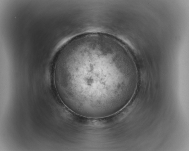 X0000115591311200911171022