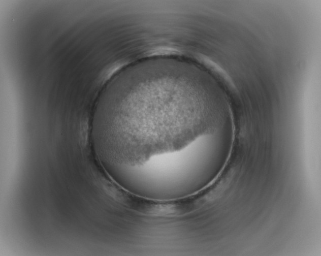 X0000115591313200911171022