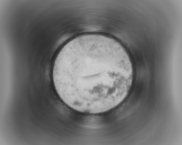 X0000115591314200911171022