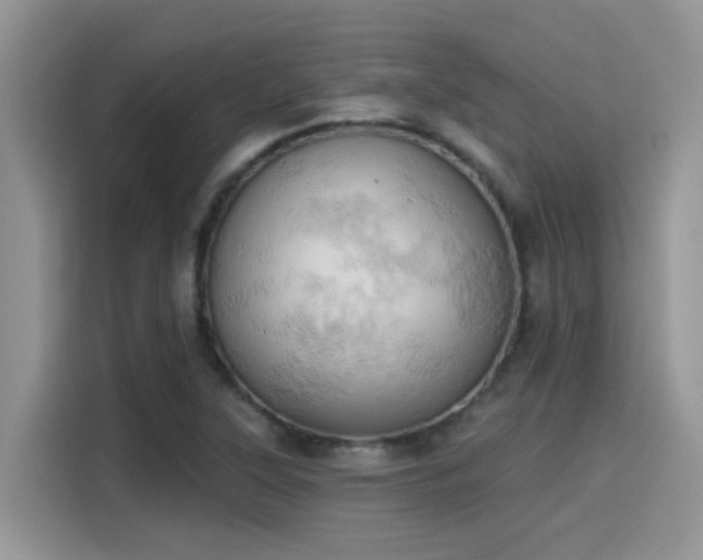 X0000115591315200911171022