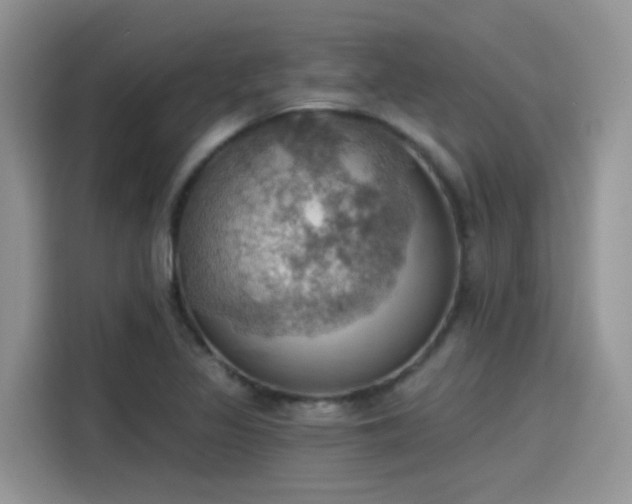X0000115591317200911171022