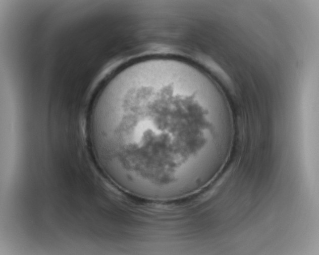 X0000115591318200911171022