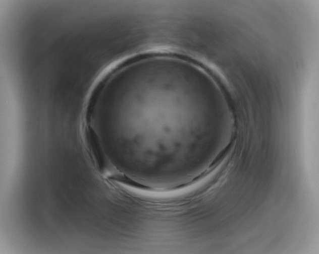 X0000115591319200911171022