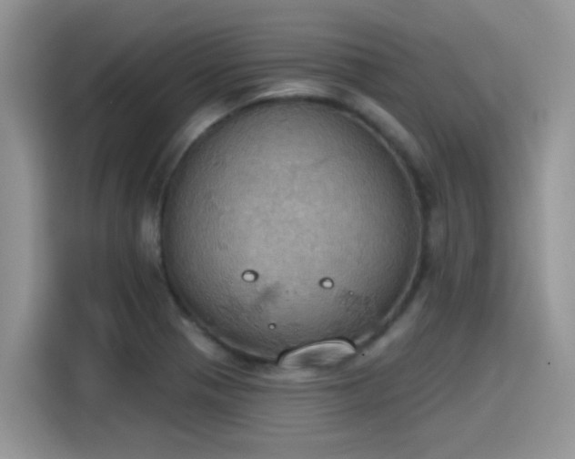 X0000115591321200911171022