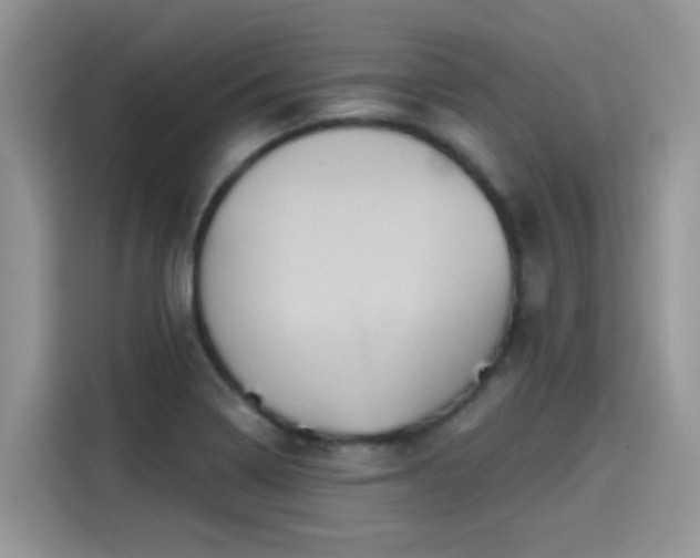 X0000115591322200911171022