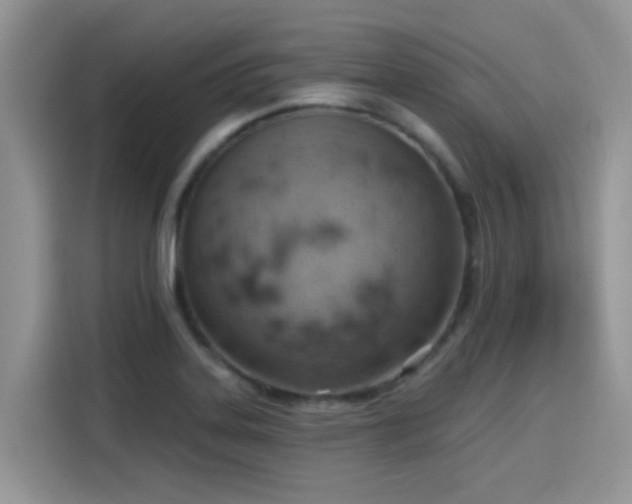 X0000115591323200911171022