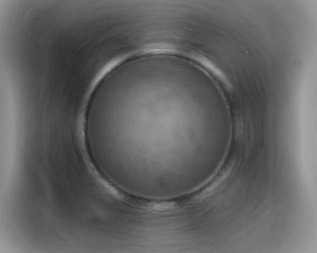 X0000115591325200911171022