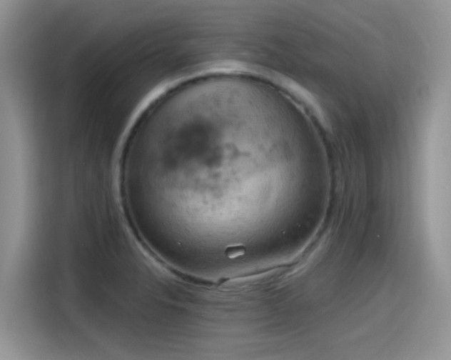 X0000115591326200911171022