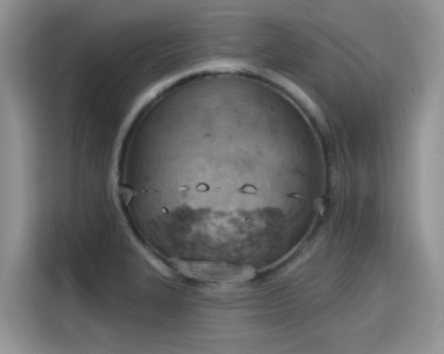 X0000115591327200911171022