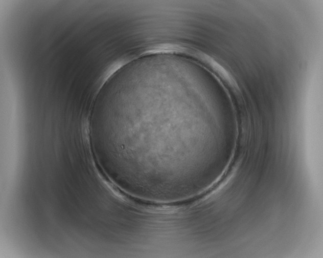 X0000115591329200911171022