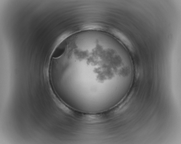 X0000115591330200911171022