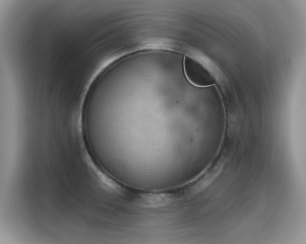 X0000115591331200911171022