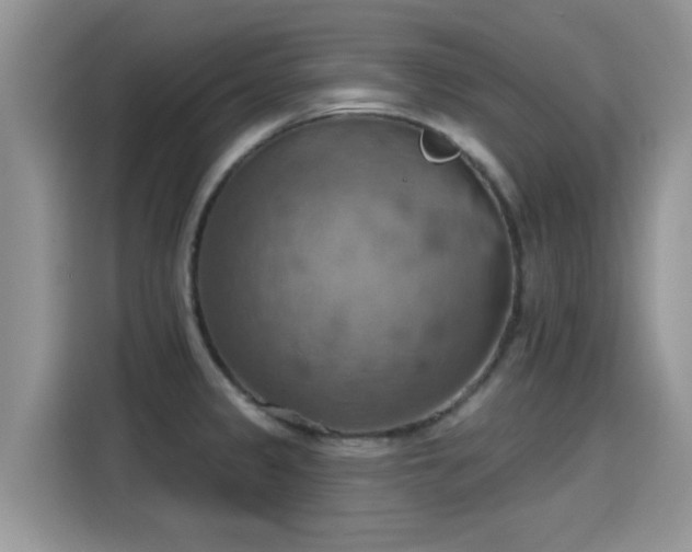 X0000115591333200911171022