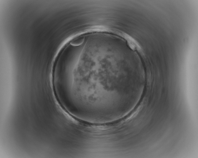 X0000115591334200911171022