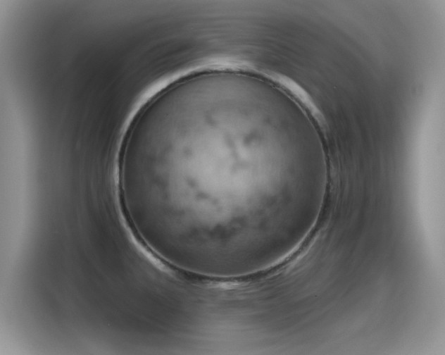 X0000115591335200911171022