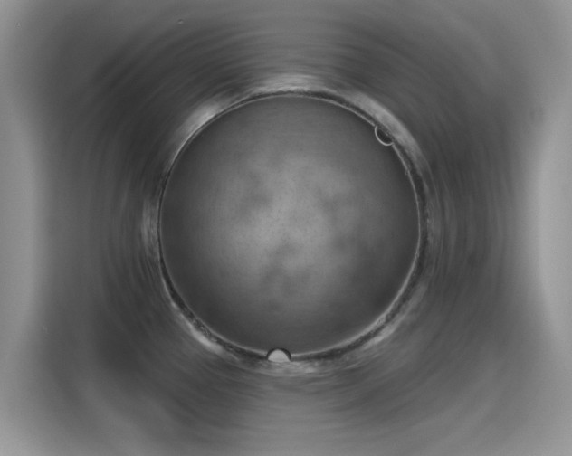 X0000115591337200911171022