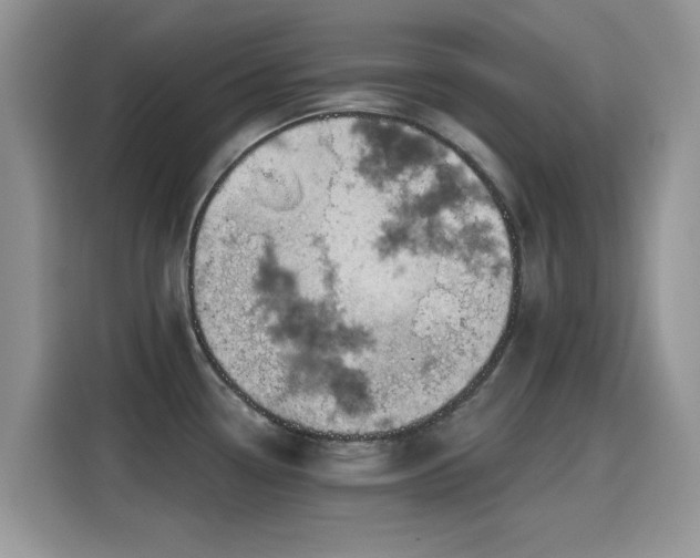 X0000115591338200911171022