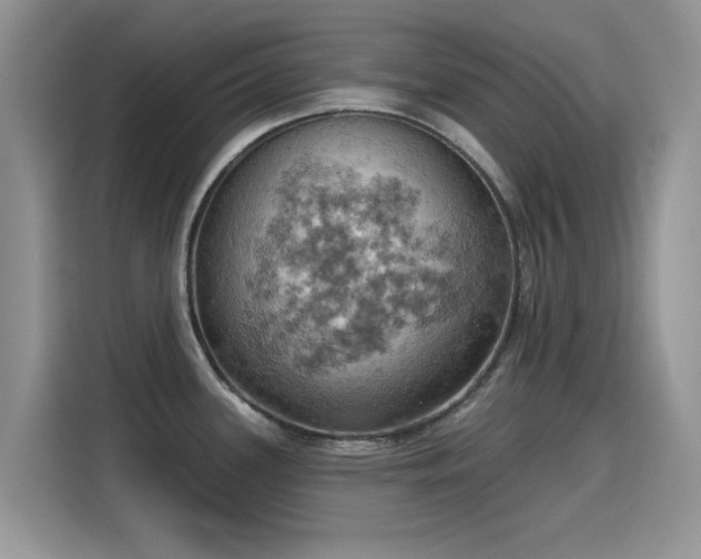 X0000115591339200911171022