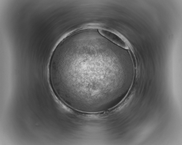 X0000115591341200911171022