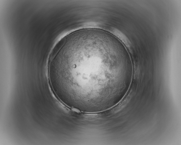 X0000115591342200911171022