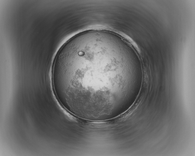 X0000115591343200911171022