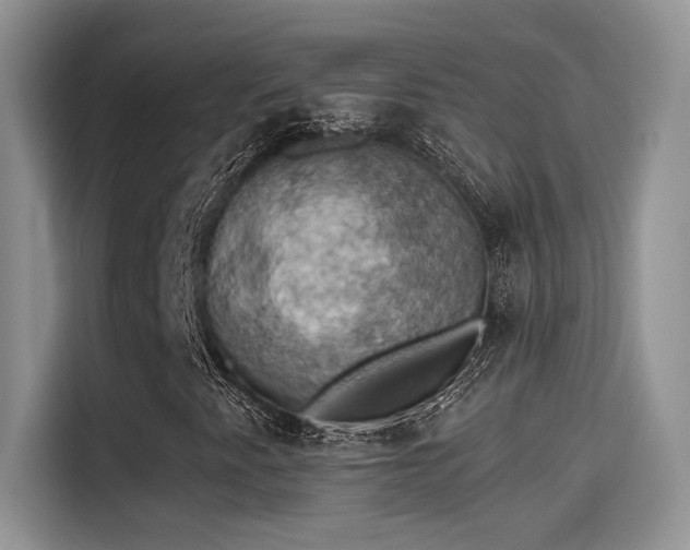X0000115591345200911171021
