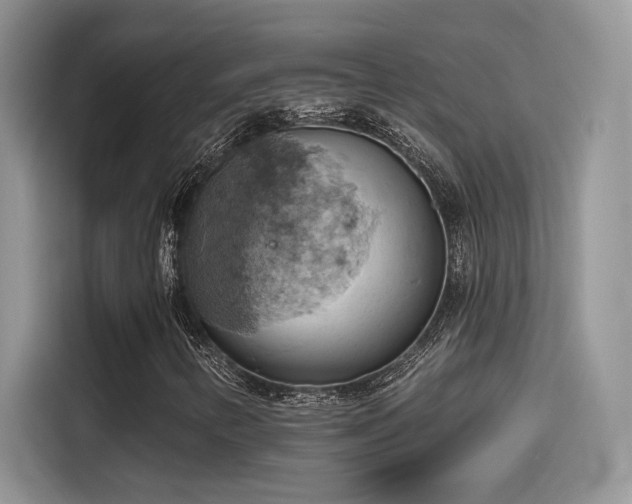 X0000115591346200911171021