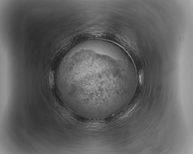 X0000115591347200911171021