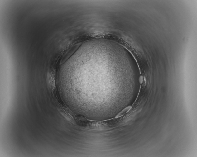 X0000115591348200911171021