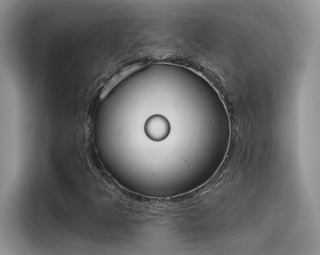 X0000115591349200911171021