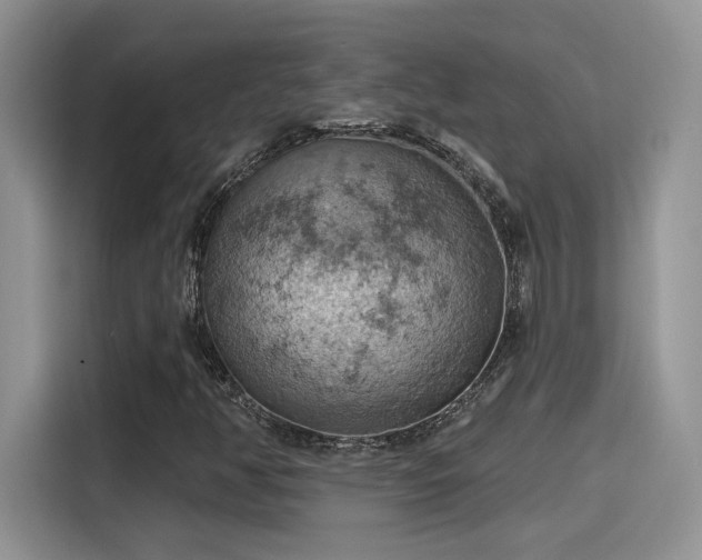 X0000115591350200911171021