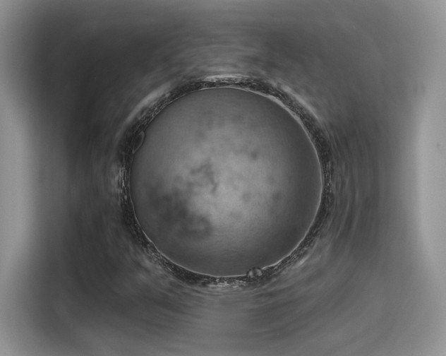X0000115591351200911171021