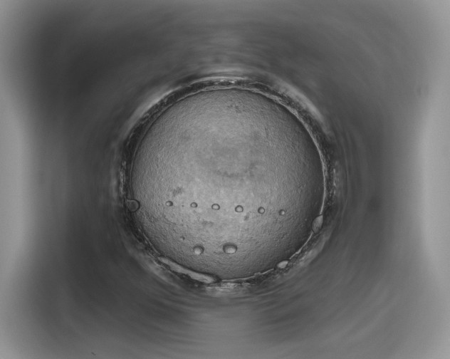 X0000115591352200911171021