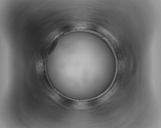 X0000115591353200911171021