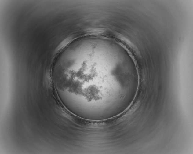 X0000115591354200911171021