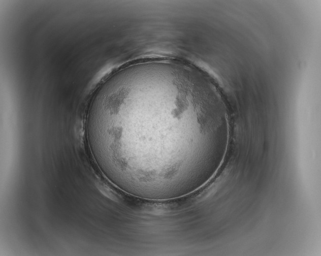 X0000115591355200911171021