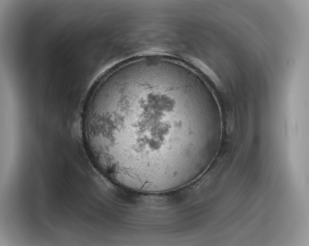 X0000115591356200911171021