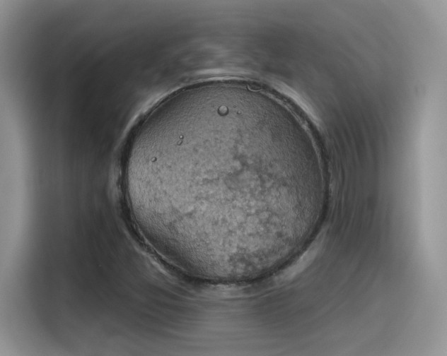 X0000115591357200911171021