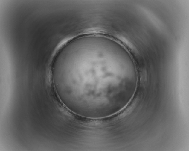 X0000115591358200911171021