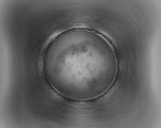 X0000115591359200911171021
