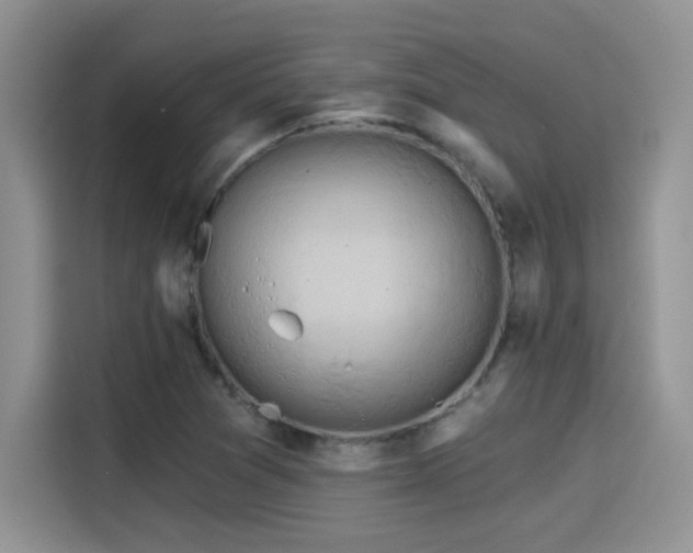 X0000115591361200911171021