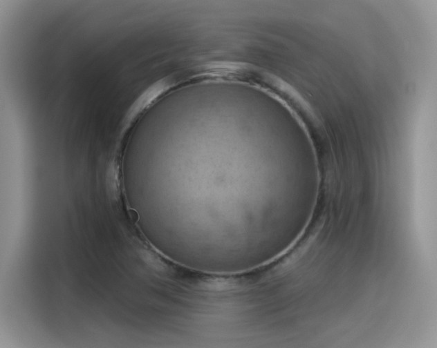 X0000115591362200911171021