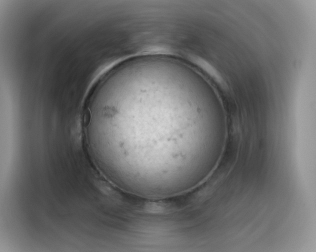 X0000115591364200911171021