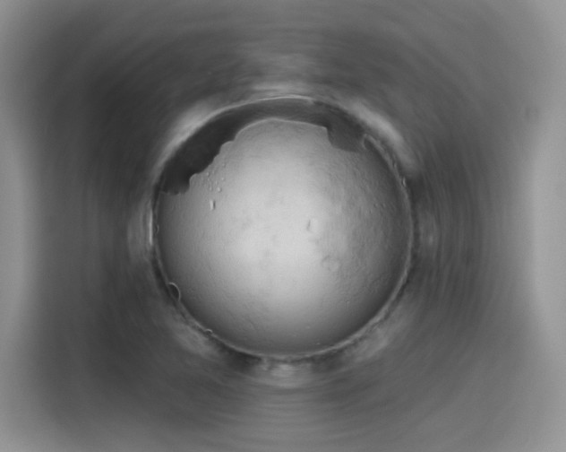 X0000115591365200911171021