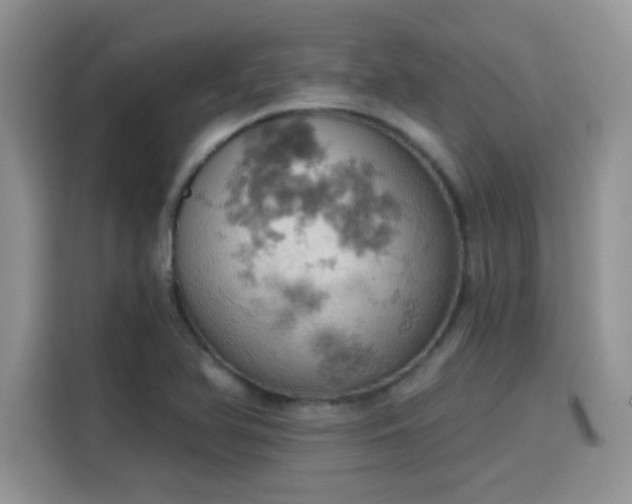 X0000115591366200911171021