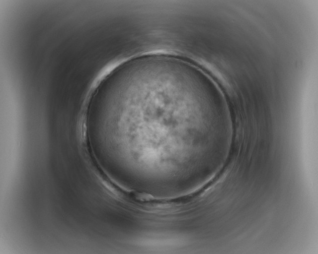 X0000115591367200911171021