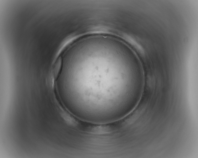 X0000115591368200911171021